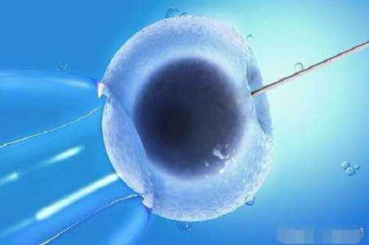 国内比较大的助孕服务医院,强烈推荐!