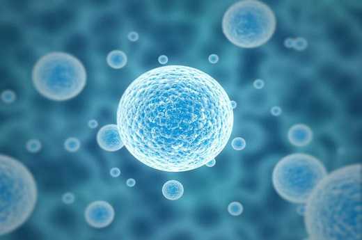 2026年国内试管3代比较好的医院盘点