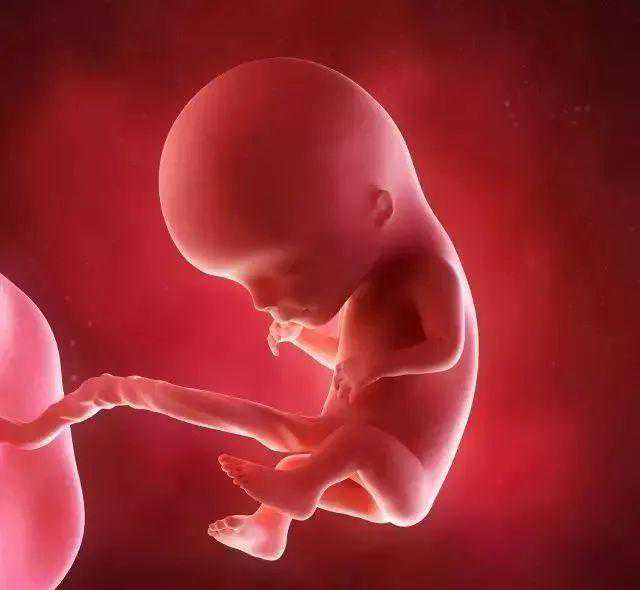 美国试管婴儿与国内试管有什么区别？